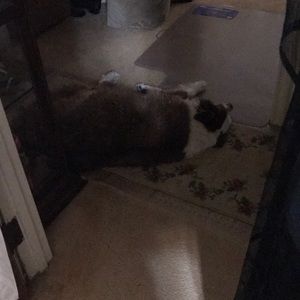 Meet your Posher, Sharon